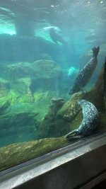 IMG_8201.JPG IMG_8201.JPG