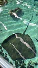 IMG_8208.JPG IMG_8208.JPG