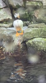 IMG_8242.JPG IMG_8242.JPG