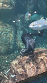 IMG_8277.JPG IMG_8277.JPG