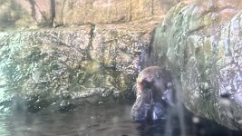 IMG_8272.JPG IMG_8272.JPG