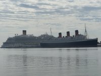 IMG_8285.JPG IMG_8285.JPG