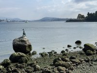 IMG_9017.JPEG