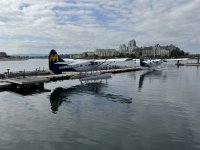 IMG_9096.JPEG