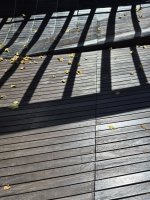 20250906_111935.jpg