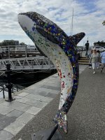 IMG_9101.JPEG