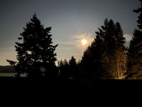 IMG_9143.JPEG
