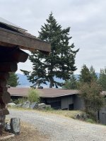 IMG_8883.JPEG
