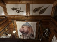 IMG_8677.JPEG
