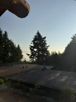 IMG_9156.JPEG