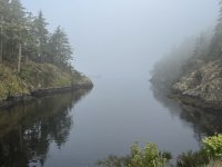 IMG_9171.JPEG