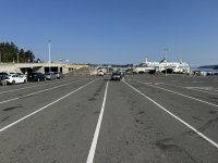 IMG_9174.JPEG