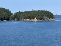 IMG_9187.JPEG