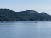 IMG_9189.JPEG