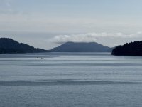 IMG_9193.JPEG
