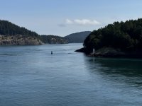 IMG_9196.JPEG