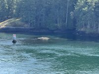 IMG_9199.JPEG