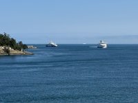 IMG_9205.JPEG