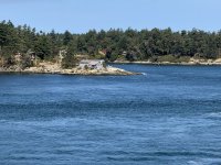 IMG_9218.JPEG