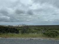 IMG_5911.jpeg