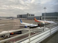 IMG_9877.jpeg