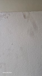 1000095350.jpg