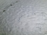 385370_580354101978527_1521703085_n.jpg