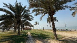 IMG_4839.jpeg
