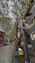 IMG_5407.jpeg