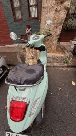 IMG_5401.jpeg