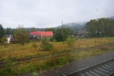 P1104775a.JPG