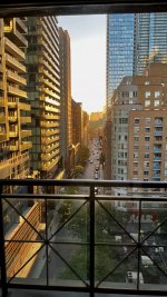 IMG_9803.jpg IMG_9803.jpg