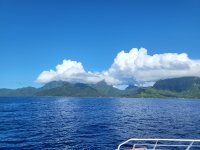 20230213_084036.jpg 20230213_084036.jpg