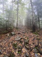 IMG_0737.jpeg