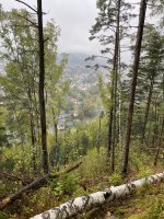 IMG_0732.jpeg