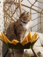 20251008_193327.jpg 20251008_193327.jpg