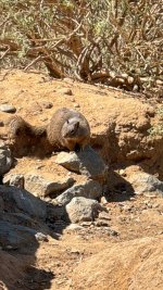 IMG_8436.JPG IMG_8436.JPG