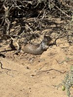 IMG_8440.JPG IMG_8440.JPG