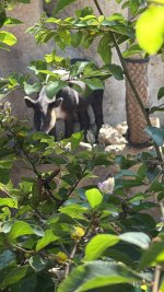 IMG_8557.JPG IMG_8557.JPG