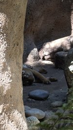 IMG_E8608.JPG IMG_E8608.JPG