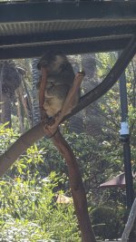 IMG_E8495.JPG IMG_E8495.JPG