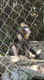 IMG_E8615.JPG IMG_E8615.JPG