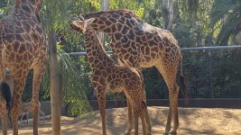 IMG_8517.JPG IMG_8517.JPG