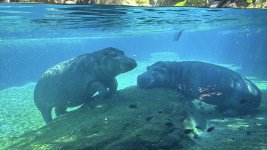 IMG_E8590.JPG IMG_E8590.JPG