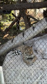 IMG_E8470.JPG IMG_E8470.JPG