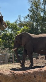 IMG_8544.JPG IMG_8544.JPG