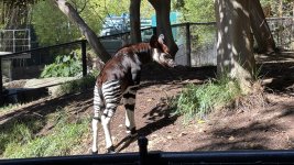 IMG_E8596.JPG IMG_E8596.JPG