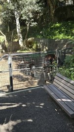 IMG_E8593.JPG IMG_E8593.JPG