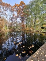 20251101_112221.jpg 20251101_112221.jpg