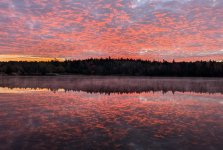 YHZ_10_05-4.jpg YHZ_10_05-4.jpg